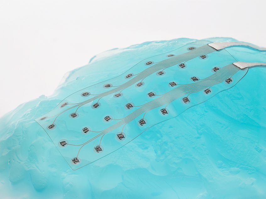 Neurosoft partners with Science Corp. to advance BCI system