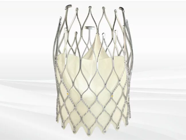Biosensors International Allegra transcatheter heart valve