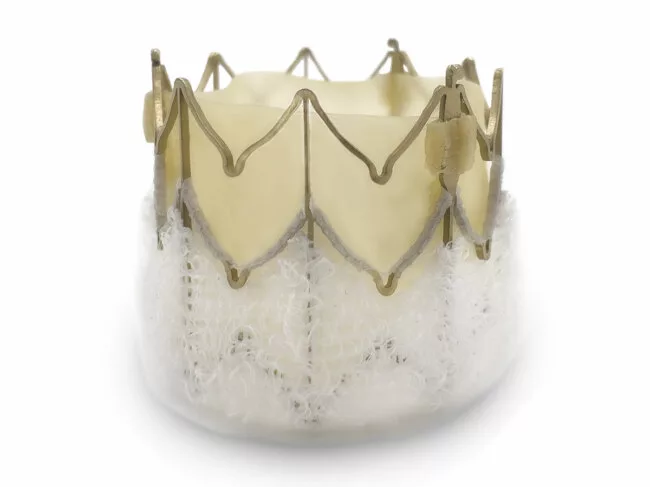 Mirus Siegel TAVR