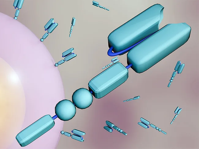 3D rendering of chimeric antigen receptors floating around CAR T cell