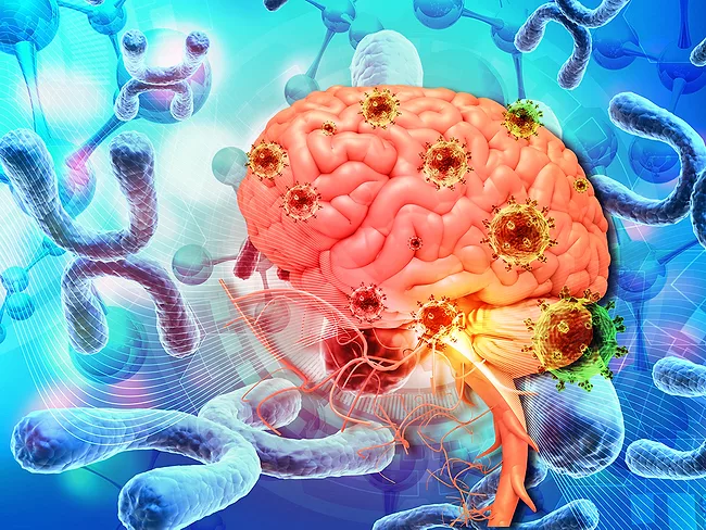 Brain and virus with chromosome