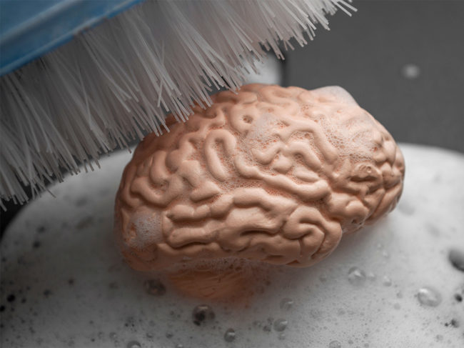 Brush scrubbing brain figurine with soap
