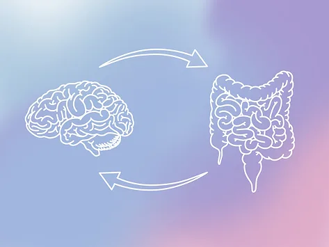 Brain gut axis connection illustration