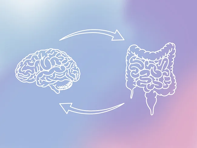 Illustration demonstrating gut-brain axis