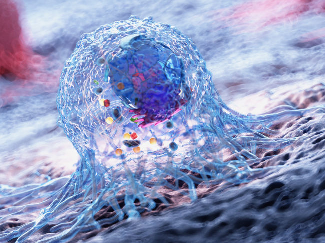 3D rendered illustration of the anatomy of a cancer cell