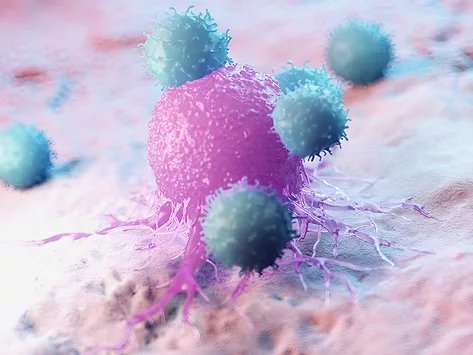 T cells attacking cancer