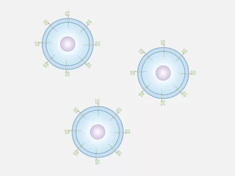 Chimeric antigen receptor car t cell therapy