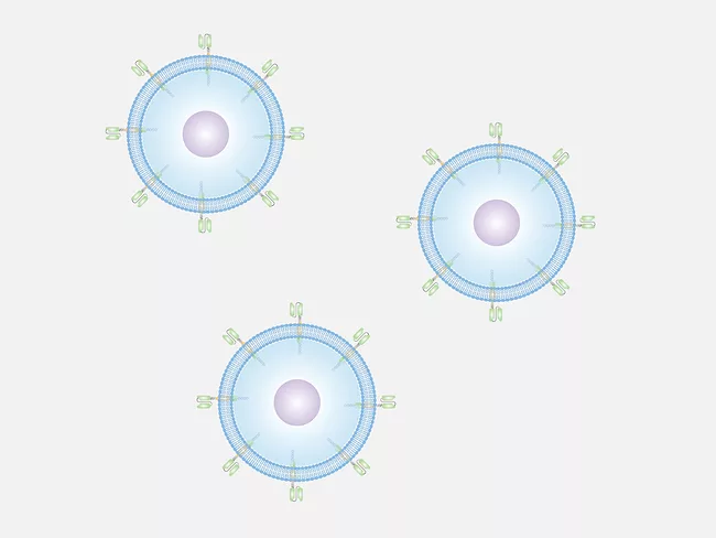 Illustration of CAR T cells