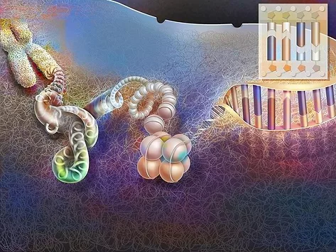 Chromatin compaction