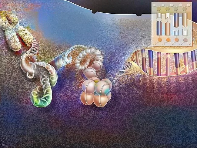 Chromatin compaction
