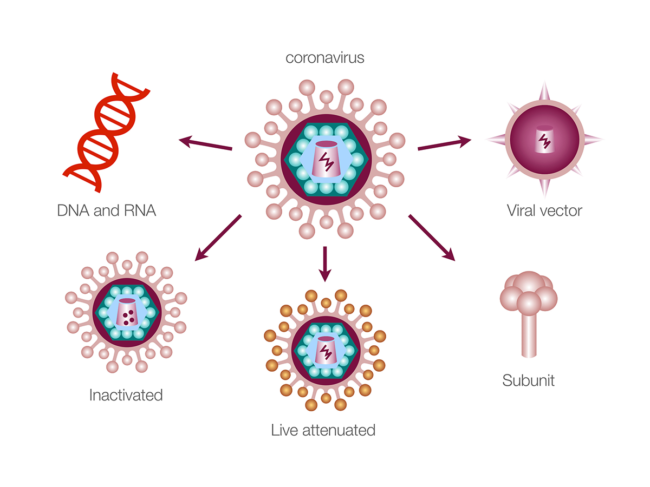 Illustration showing the different types of vaccines that are tested against coronavirus