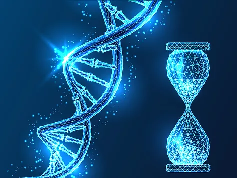 Dna aging time