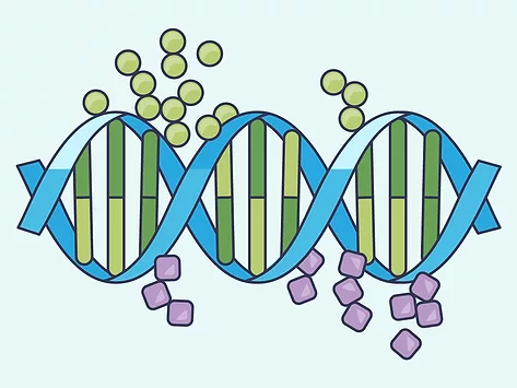 Dna double helix epigenetics illustration