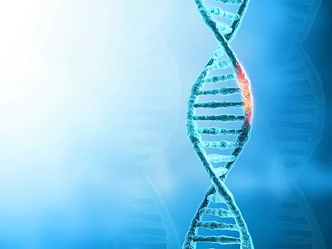 Dna gene damage mutation