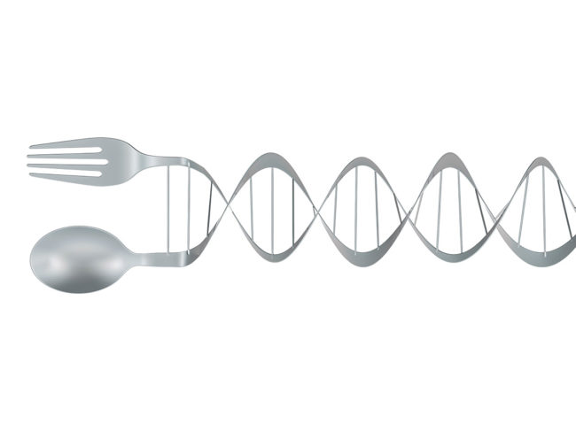 DNA double helix made up of a spoon and fork