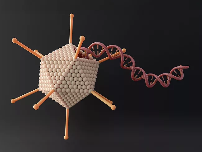 3D rendering of adeno-associated viral vector