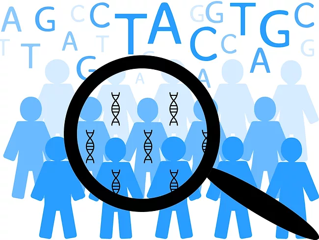 Concept art for genetic diversity.