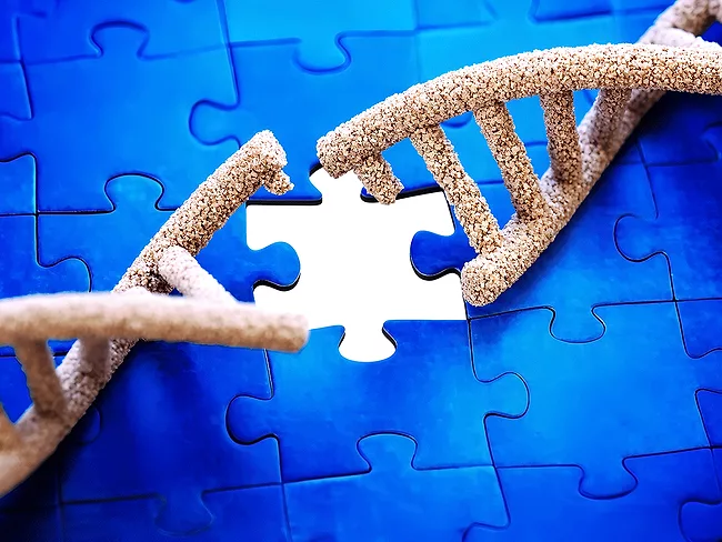 Missing puzzle piece and broken DNA chain