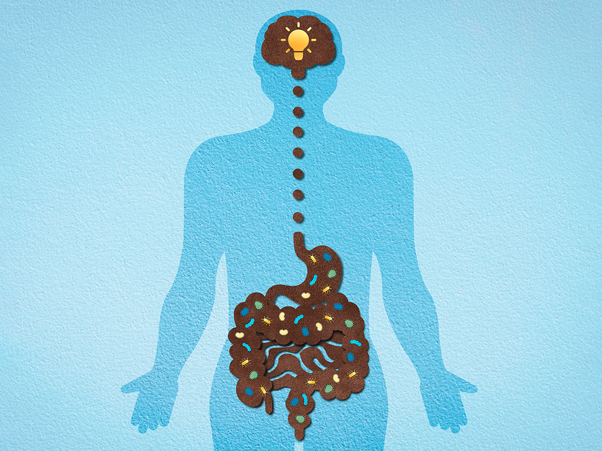 Illustration representing connection between brain and gut microbiome.