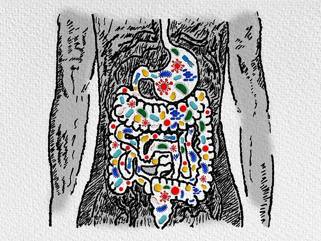 Illustration of bacteria, microorganisms in the gastrointestinal system