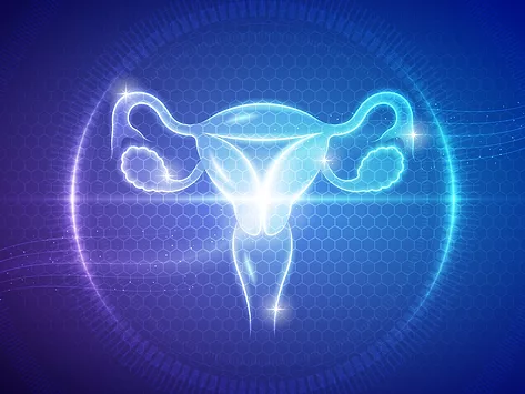 Gynecology womens health female reproductive system