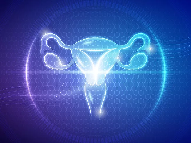 Futuristic medical hologram illustration featuring the female reproductive system