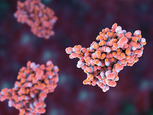 3D illustration of human growth hormone molecules