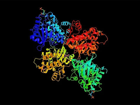 Irak4 protein kinase structure