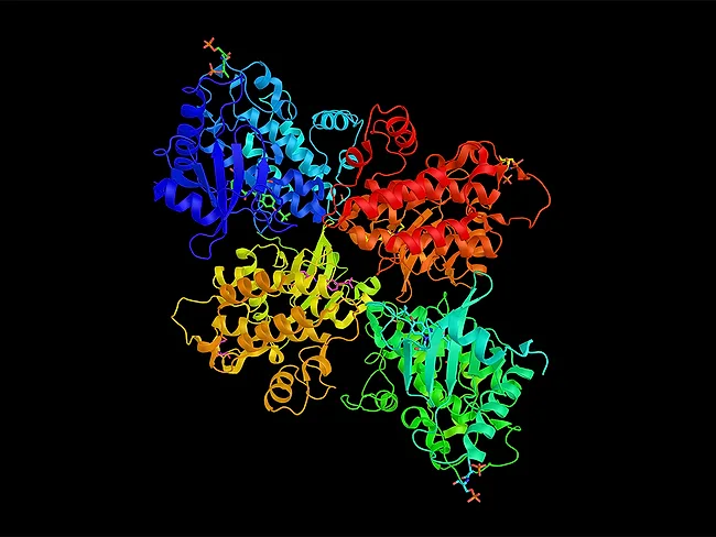 3D rendering of interleukin-1 receptor-associated kinase 4