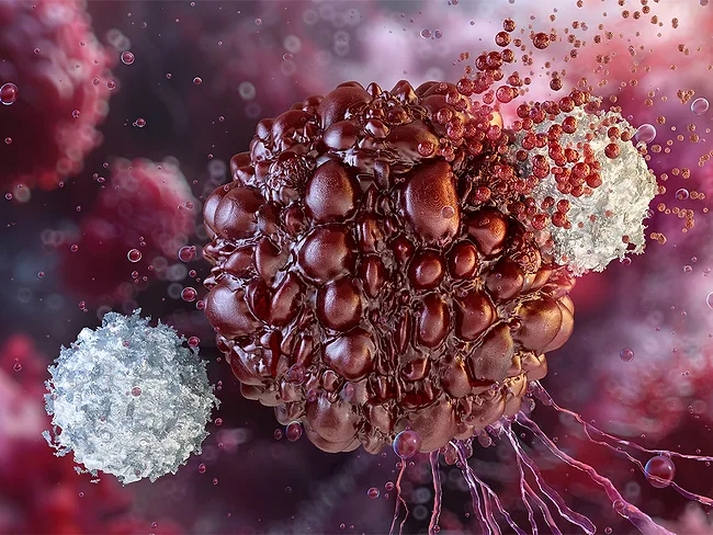 Illustration of lymphocytes attacking cancer cell