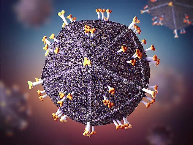 Illustration of HIV showing trimers