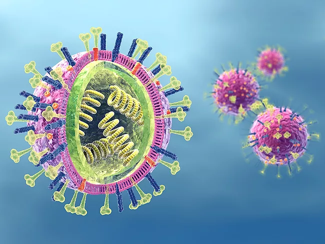 Influenza viruses with RNA, surface proteins hemagglutinin and neuraminidase