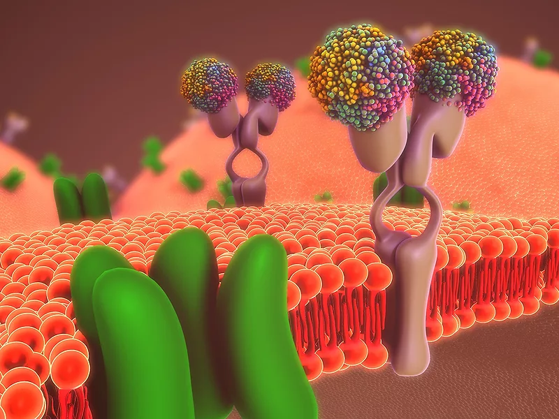 carmot glp 1 Carmot Therapeutics patents new GLP-1R agonists