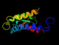 Illustration of interleukin-2 protein structure