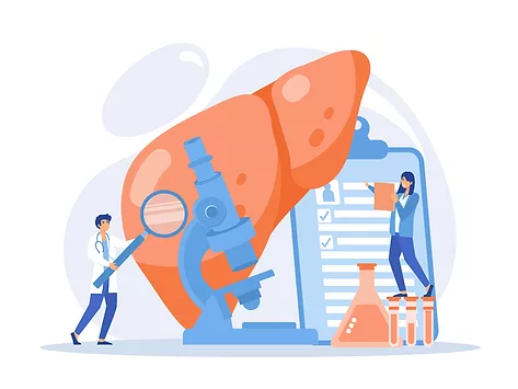 Liver research investigation microscope