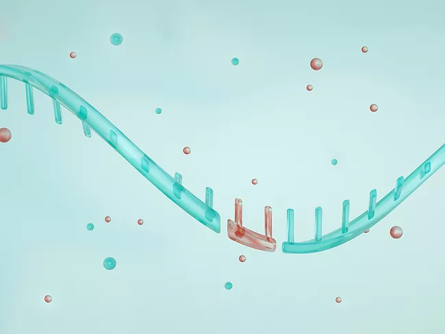 Illustration of messenger RNA