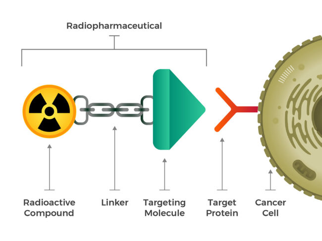 Components of a radiopharmaceutical