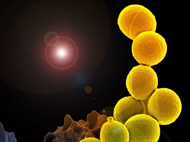 Methicillin-resistant S. aureus (MRSA)