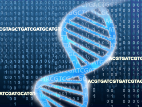 The DNA double helix overlays a field of ACGTs and binary numbers.