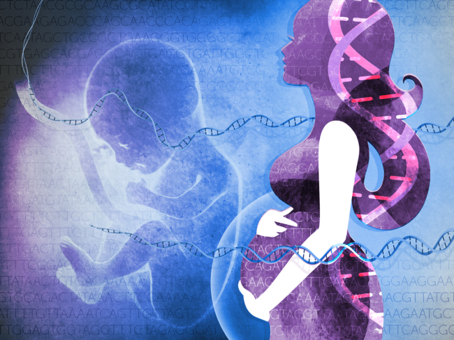 Concept art for prenatal genetic testing and whole genome sequencing.