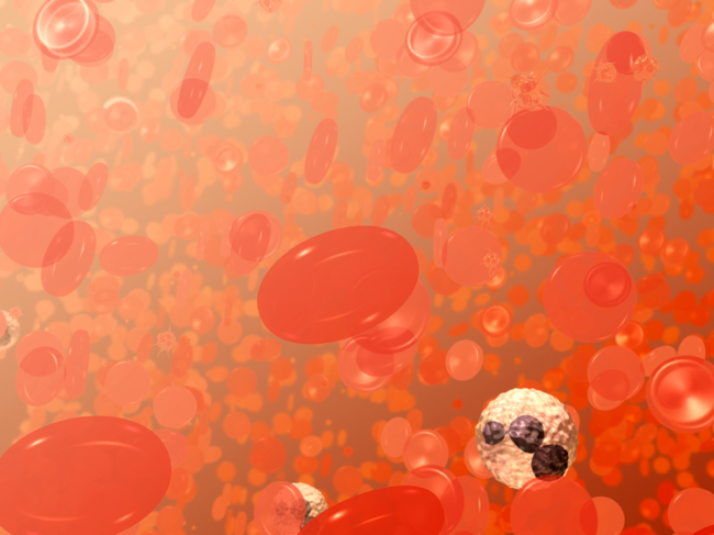 Red blood cells illustration.