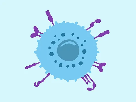 Natural killer nk cell illustration