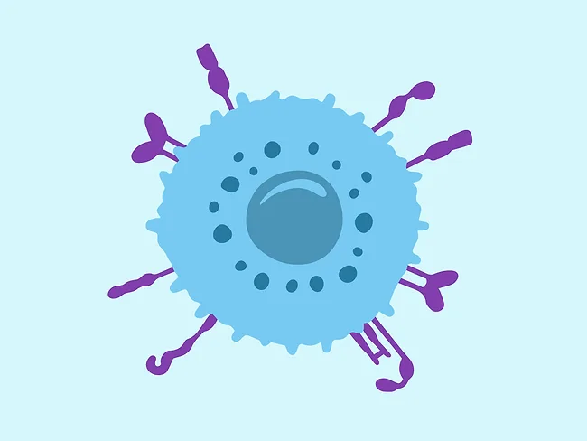 Illustration of an NK cell