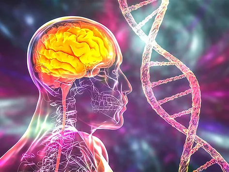 Illustration for mutations in the DNA leading to brain diseases or neurodegenerative disorders