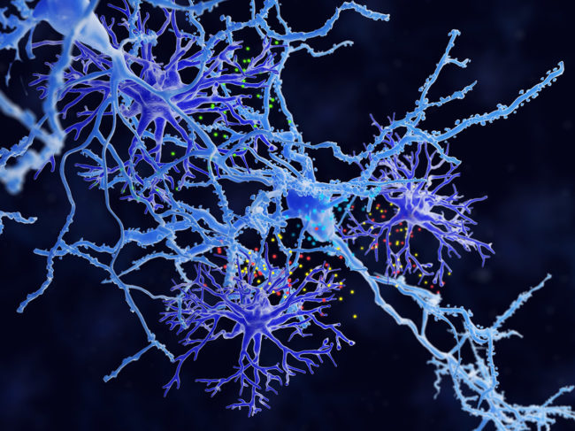 Illustration of astrocytes and neurons communicating through chemical signals