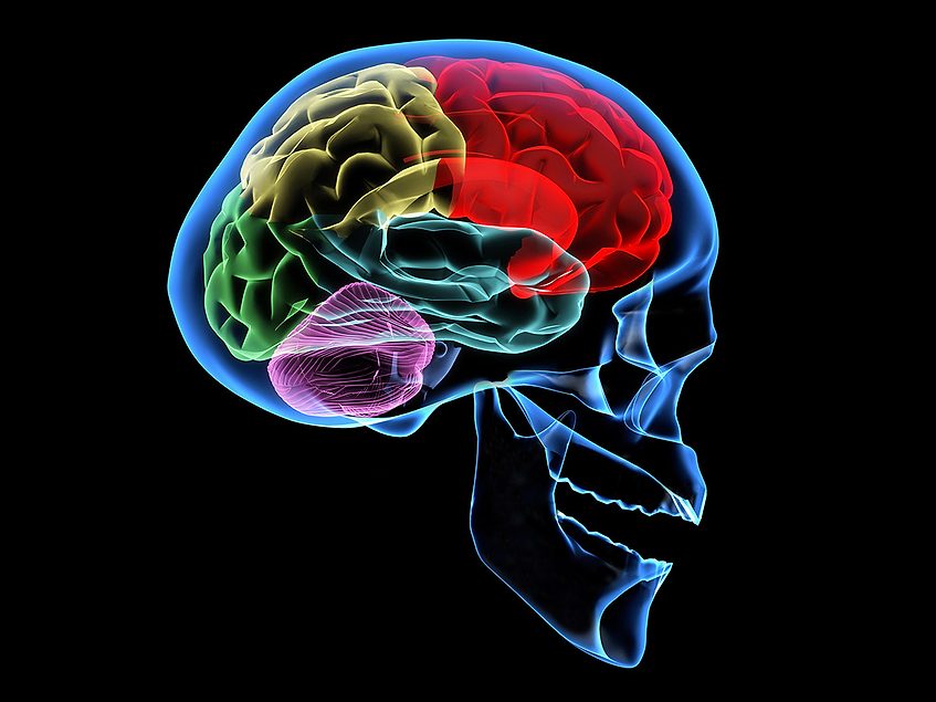 Neuraxis looks beyond gut to apply IBStim in postconcussion syndrome BioWorld