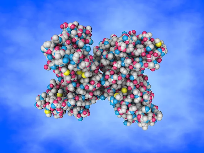 3D molecular model illustration of RIPK1