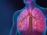 AI generated illustration of lungs in the human body