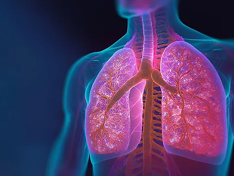 Respiratory lungs inflammation