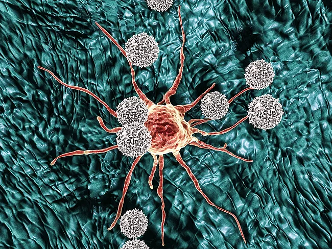 Immuno-oncology art concept